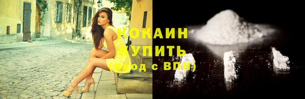 СК Дмитров