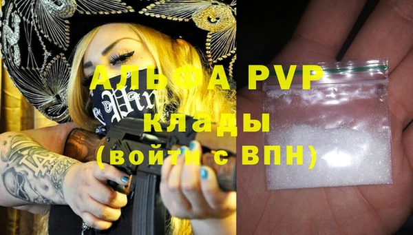 СК Дмитров
