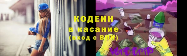 СК Дмитров