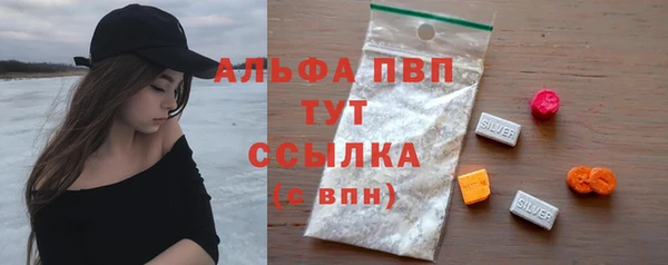 СК Дмитров