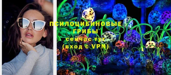 PSILOCYBIN Дмитровск